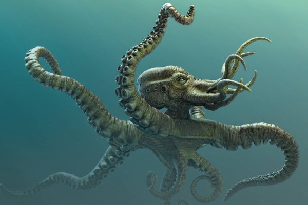 Зеркало kraken тор ссылка рабочее