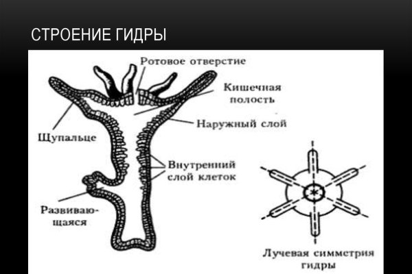 Как восстановить кракен